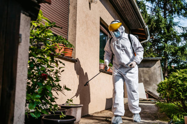 Reliable Sandy Springs, GA Pest Control Solutions