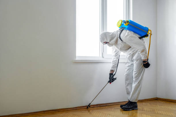 Best Ant Control Services  in Sandy Springs, GA