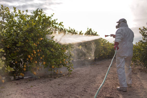 Best Pest Inspection Near Me  in Sandy Springs, GA