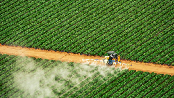 Best Commercial Pest Control Services  in Sandy Springs, GA