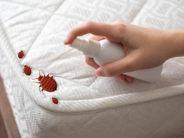 Wildlife Control Services in Sandy Springs, GA