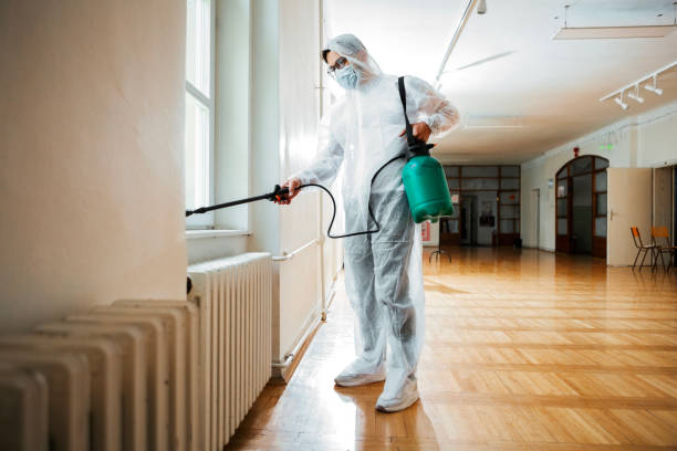 Best Affordable Pest Control Services  in Sandy Springs, GA