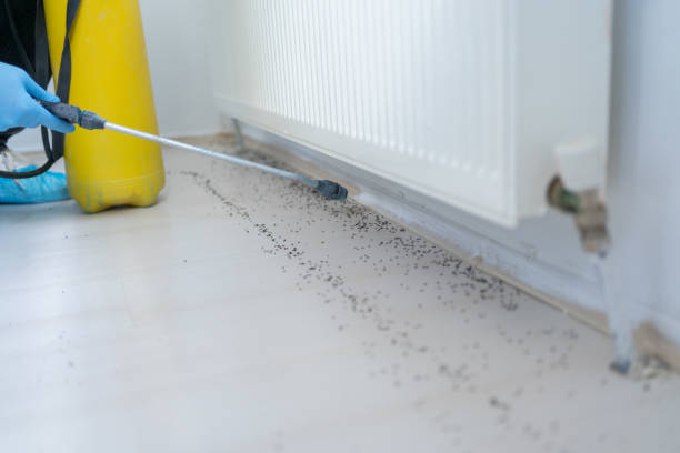 Best Emergency Pest Control  in Sandy Springs, GA